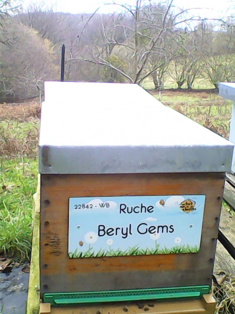 La ruche Beryl Gems